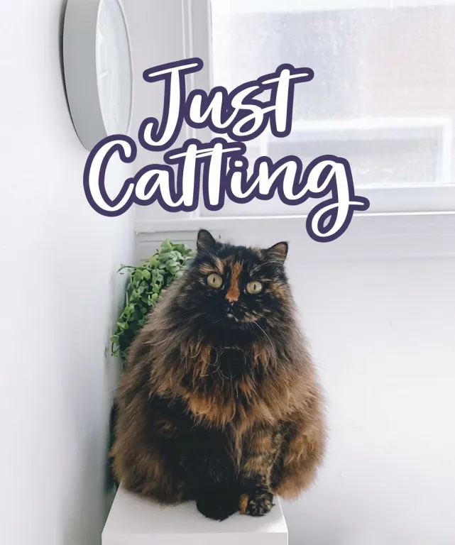 Just Catting category box art
